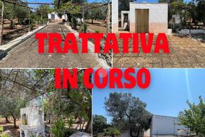 RUSTICO A CEGLIE MESSAPICA