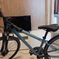 Specialized Ariel XS