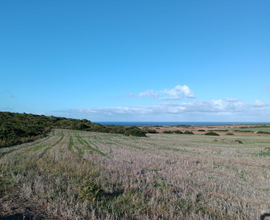 Terreno agricolo Sinis