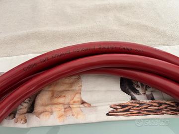 Cavo di potenza CABLE TALK BI WIRING