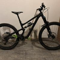 Specialized status 2025