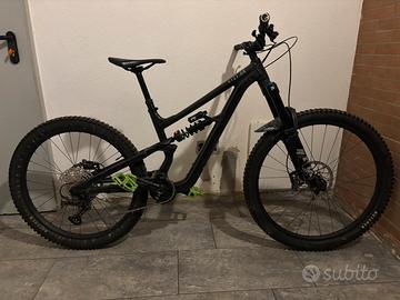 Specialized status 2025