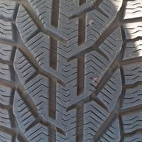 Gomme invernali 225/45/17