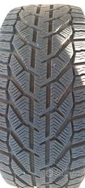 Gomme invernali 225/45/17