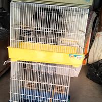 gabbie criceti e uccelli