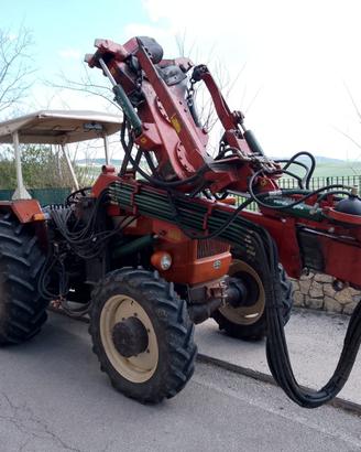 Scuotitore raccolta olive