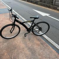 Bici da 26”