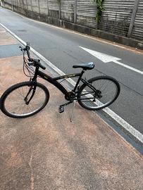 Bici da 26”