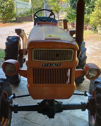 fiat 250