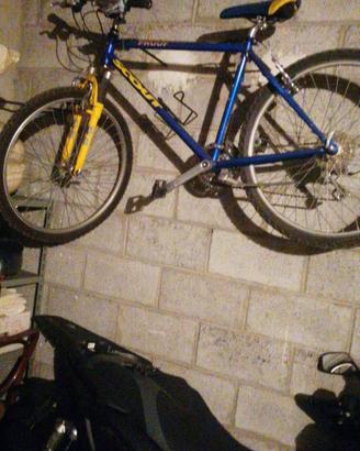 Biciclette scout