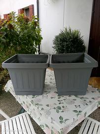 due vasi per piante 