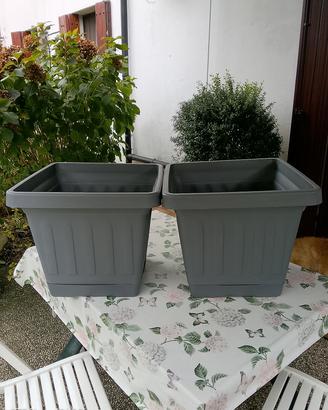 due vasi per piante 