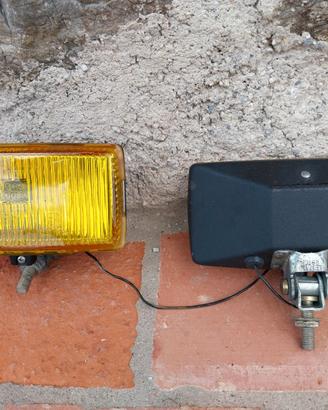 Coppia fari alogeni antinebbia