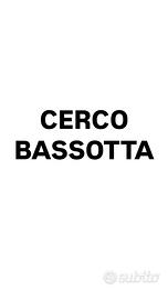 Bassotto
