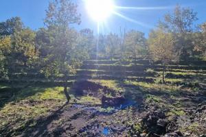 Terreno 3000mq panoramico con rudere a Presa