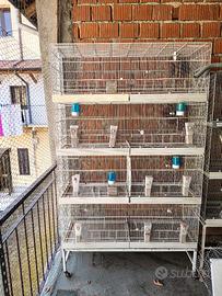 batteria gabbie 120cm