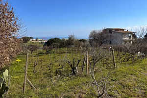 Terreno - Messina