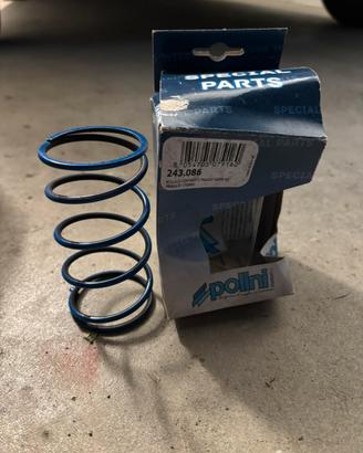 Molla contrasto Polini -PIAGGIO-