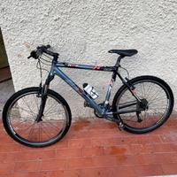 Bicicletta olmo