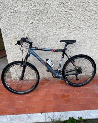 Bicicletta olmo