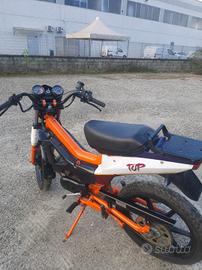 Fifyty top 