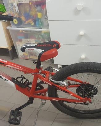 Bicicletta bambino ruota diametro 20
