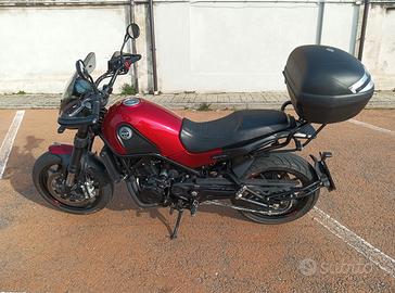 benelli leoncino 500 abs