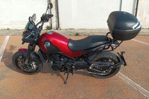 benelli leoncino 500 abs