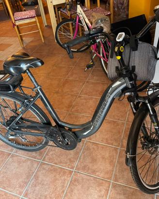 Bici elettrica BOTTECCHIA 250W