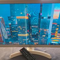 TV LG 24” Full HD 24TL510V con telecomando