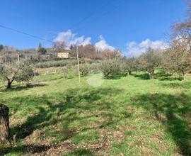 TER. RESIDENZIALE A TERNI