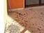Immagine 25