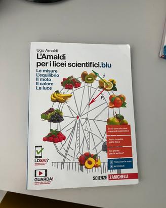l’amaldi per i licei scientifici