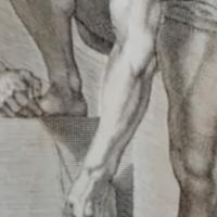 stampa antica di anatomia rarissima xilografia 