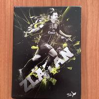 Quadro di Zlatan