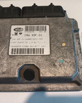 Centralina IAW Fiat Punto 75 1.2 8v Multipoint