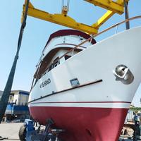Trawler dislocante