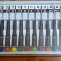 Set cacciaviti di precisione