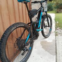 Bici elettrica