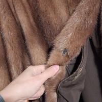 Pelliccia visone femmina originale Canali