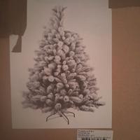 Albero di Natale (AgriBrianza) con accessori