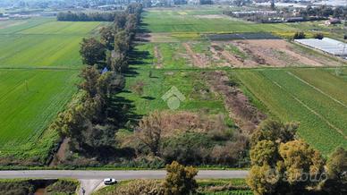 TER. AGRICOLO A TERRACINA