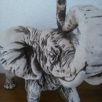 Magnifico elefante bianco