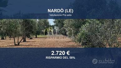 Immobile in asta di 3231 m² a Nardò