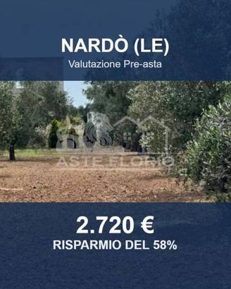 Immobile in asta di 3231 m² a Nardò