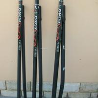 palo bilancia carbonio istriana 