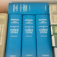 Codice civile commentato 2024