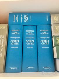 Codice civile commentato 2024