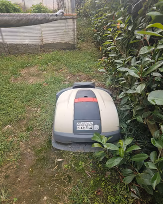 HONDA MIMO 300