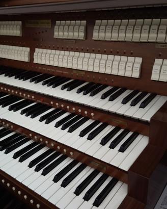 Organo Princeton 995 (Viscount Maestoso)